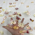 Appliqué Tulle Mesh Fabric — fabric photo 3