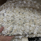 Dense Multisize Sequin Embroidered Chiffon — fabric photo 4