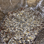 5mm Rolled Sequin Embroidered Stretch Mesh — fabric photo 4