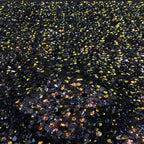 Stretch 3/5/7/9/12 mm Sequin Embroidered Stretch Mesh Fabric — fabric photo 5