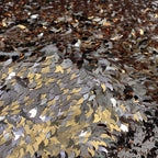 Mango-Shaped Sequin Embroidered Stretch Mesh — fabric photo 5