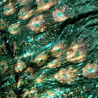 Tela de encaje bordado de terciopelo brillante con plumas de pavo real para vestidos de novia, vestidos de actuación, rollo de tela brillante para manualidades.