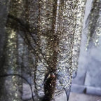 قماش شبكي من الدانتيل الذهبي والفضي غير المنتظم خفيف الوزن وناعم مناسب للفساتين الرسمية وفساتين الزفاف وأغطية الرأس