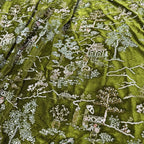 فستان رسمي فاخر من قماش مخملي مطرز بالخرز باللون الأسود والنبيذ الأحمر الفاخر، قماش مخملي ذهبي مطرز