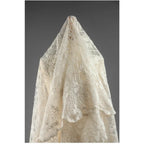 قماش تول مطرز من الدانتيل بلون بيج مورنينغ جلوري، شفاف متدرج اللون، مناسب لفساتين الزفاف، فستان العروس، نسيج كوتور فرنسي