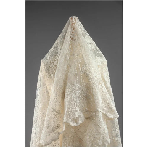 Beige Morning Glory Embroidered Lace - Gradient Tulle Wedding Fabric - fabric photo 2