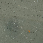 تتميز بشبكة ذهبية غير منتظمة وفريدة من نوعها تُستخدم في الحرف اليدوية وفساتين الزفاف المصممة وفساتين السهرة وأغطية الرأس والعرائس