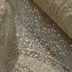 Tela brillante de encaje bordado de primera calidad para vestidos de novia hechos a mano, vestidos de cola larga de diseñador, vestidos lenceros y creaciones de alta costura.